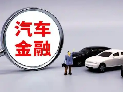 泌阳押车贷款不是本人可以么?